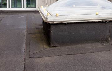 disadvantages of Dallcharn flat roofs