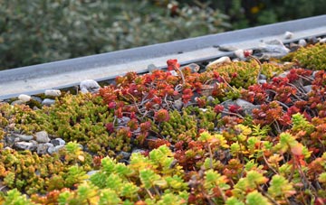 the cost of Dallcharn green roof installation
