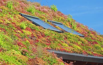 Dallcharn living roof systems