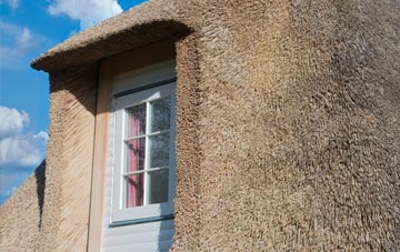Dallcharn thatch roof disadvantages