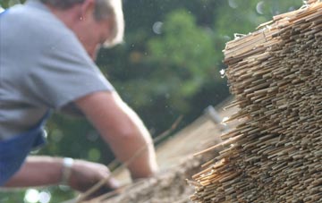 professional Dallcharn thatchers