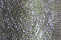 Dallcharn fibreglass roof work